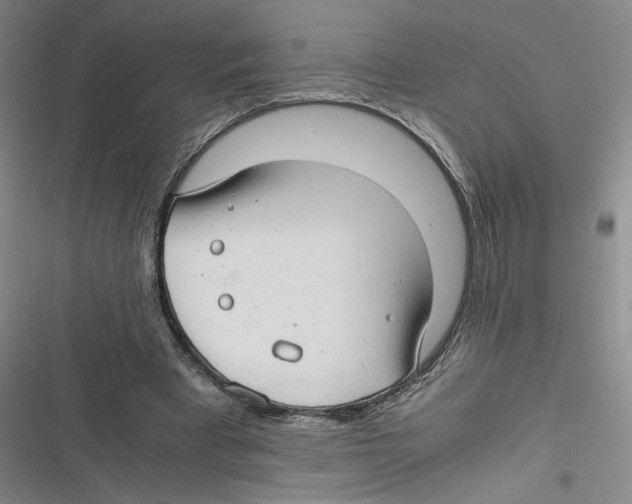 X0000116660393201001111254