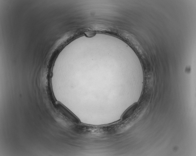 X0000116660395201001111254