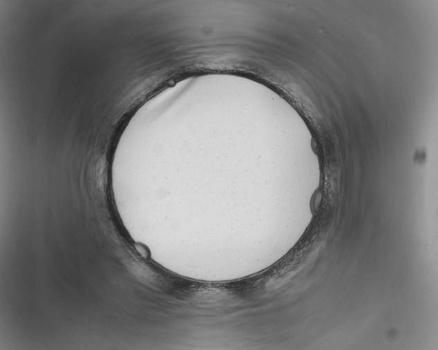 X0000116660397201001111254
