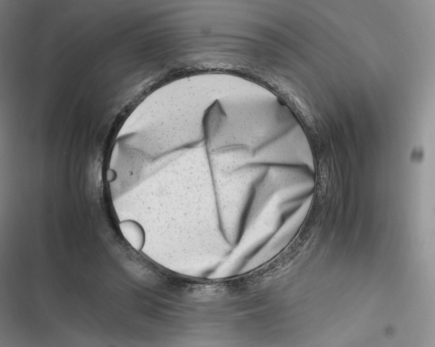 X0000116660398201001111254