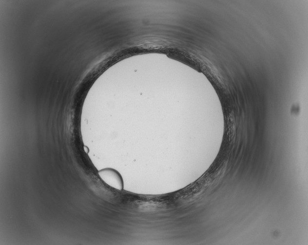X0000116660400201001111254