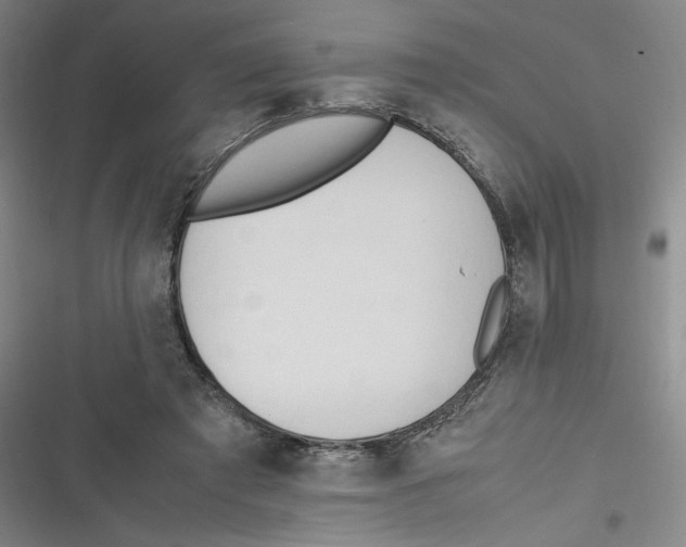 X0000116660401201001111254