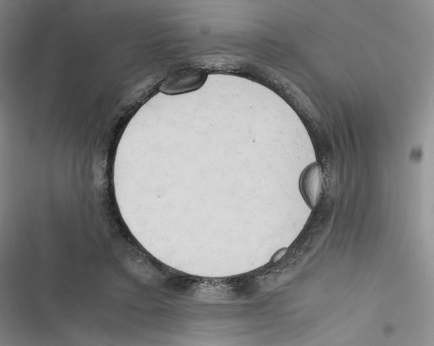 X0000116660403201001111254