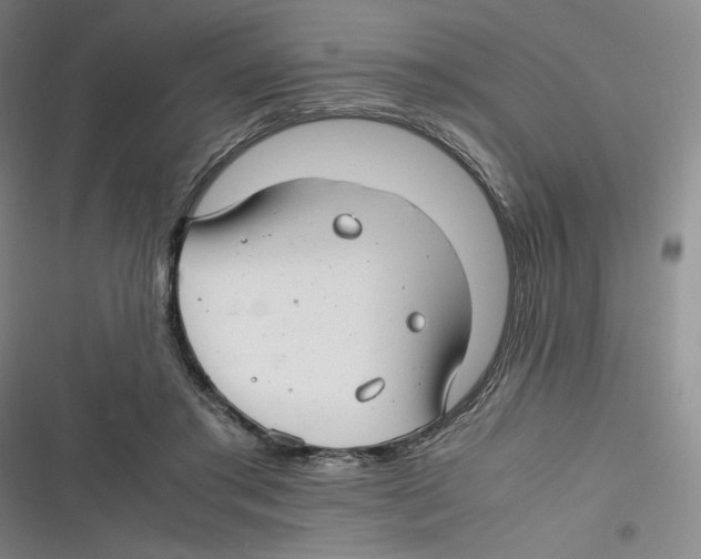 X0000116660405201001111254
