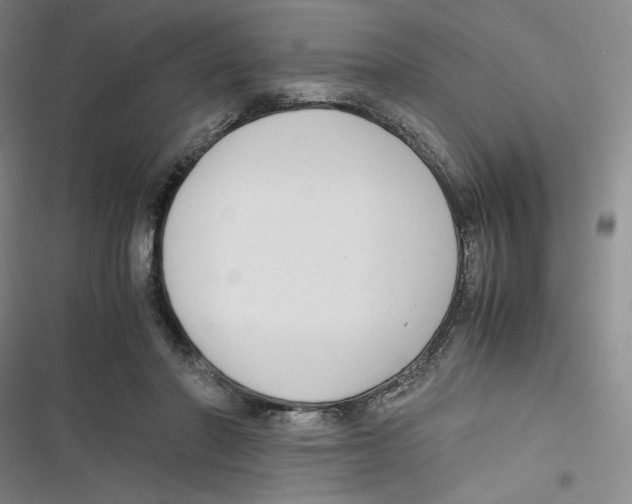 X0000116660406201001111254