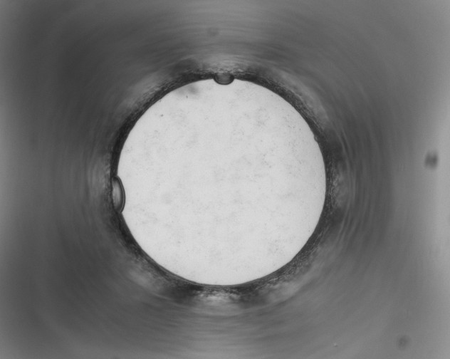 X0000116660407201001111254