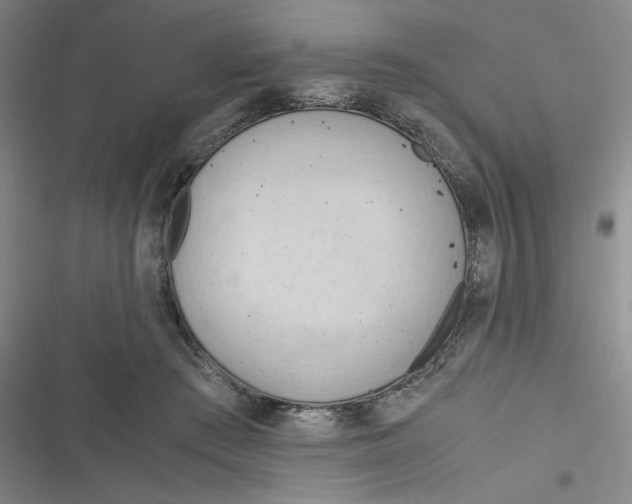X0000116660409201001111254