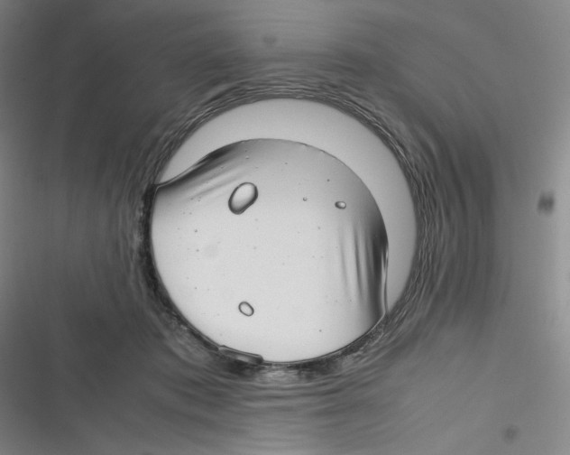 X0000116660413201001111254