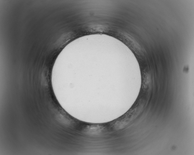 X0000116660414201001111254