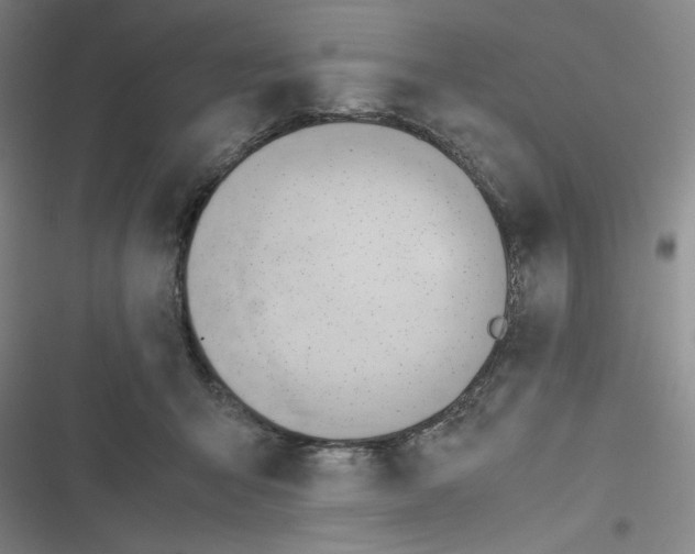X0000116660415201001111254