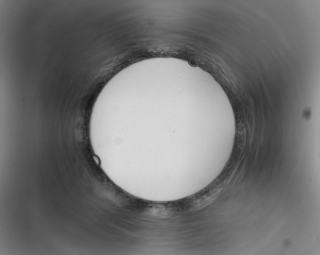 X0000116660416201001111254