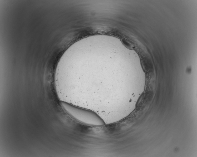 X0000116660417201001111254