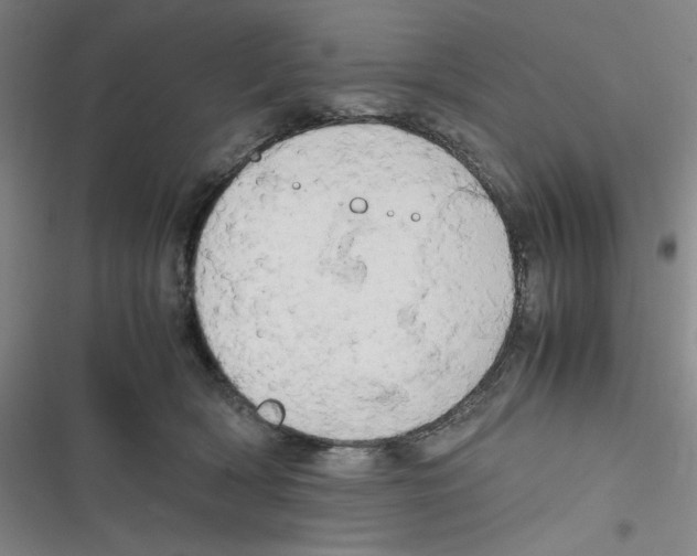 X0000116660418201001111254