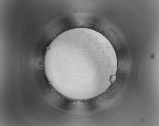 X0000116660419201001111254