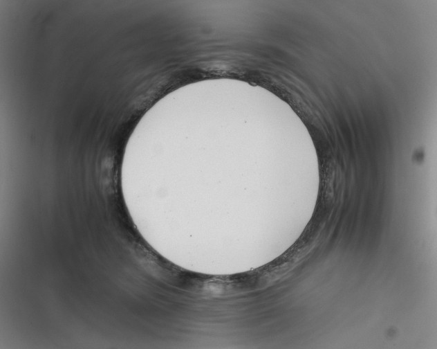 X0000116660420201001111254