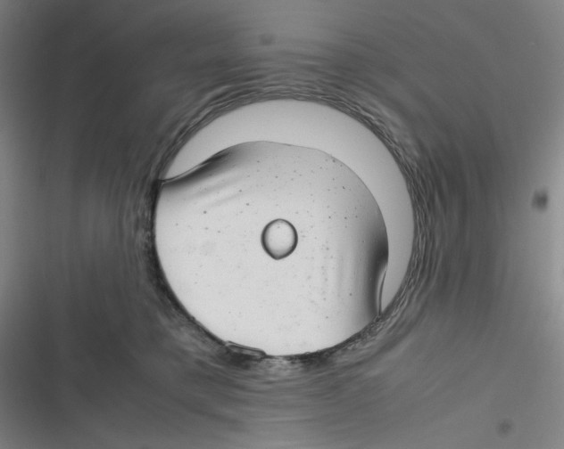 X0000116660421201001111254