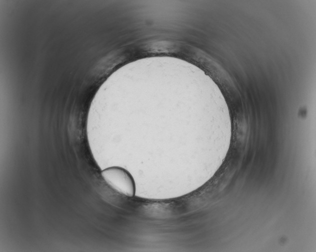 X0000116660422201001111254