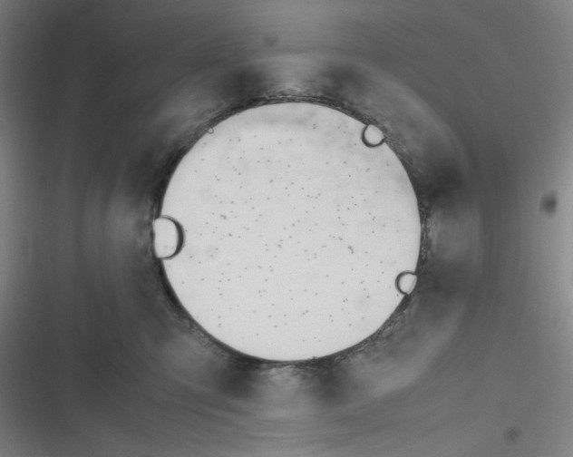 X0000116660423201001111254