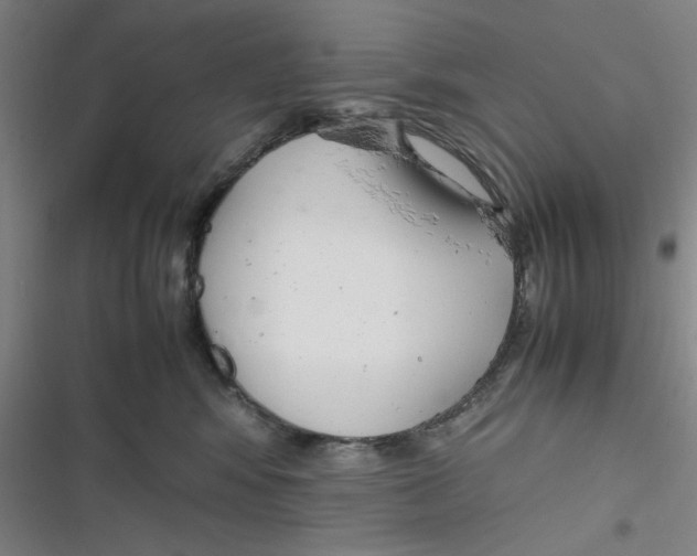 X0000116660424201001111254