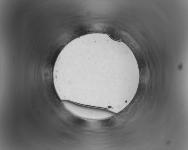 X0000116660425201001111254