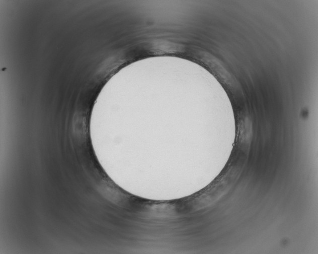 X0000116660426201001111254