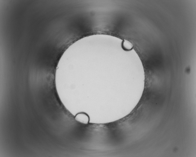 X0000116660427201001111254