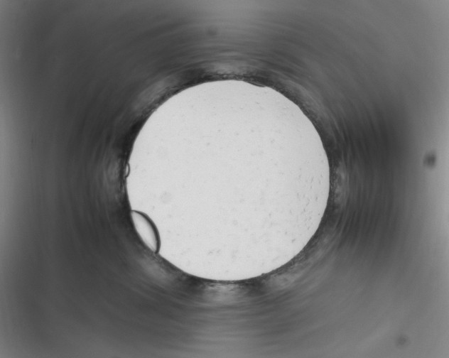 X0000116660428201001111254