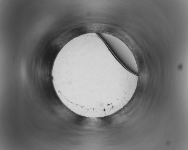 X0000116660429201001111254