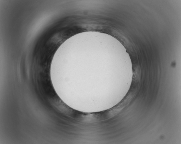 X0000116660430201001111254