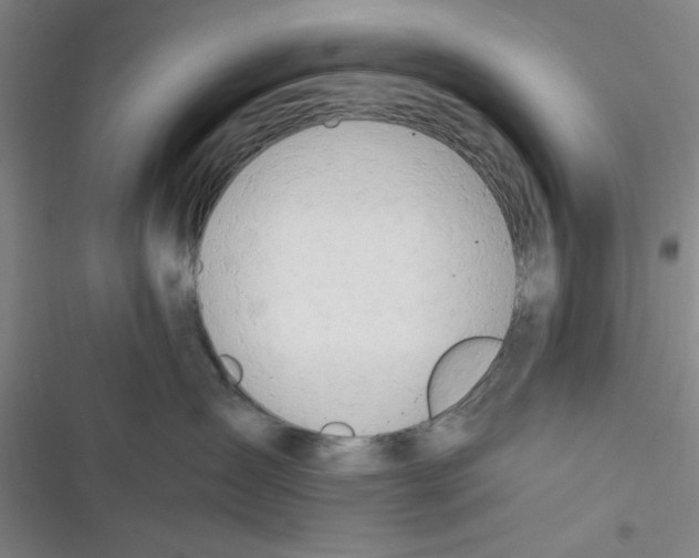 X0000116660431201001111254