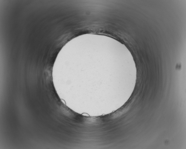 X0000116660432201001111254