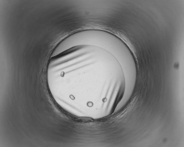 X0000116660433201001111253
