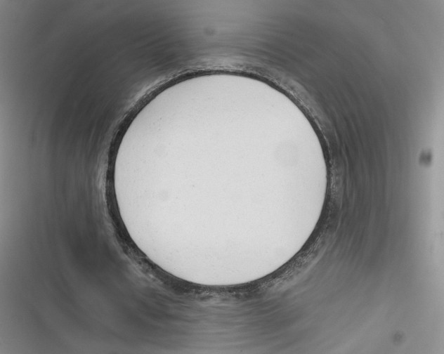 X0000116660434201001111253