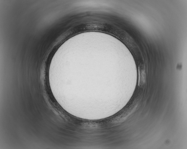 X0000116660435201001111253