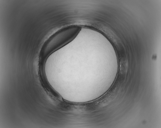 X0000116660436201001111253