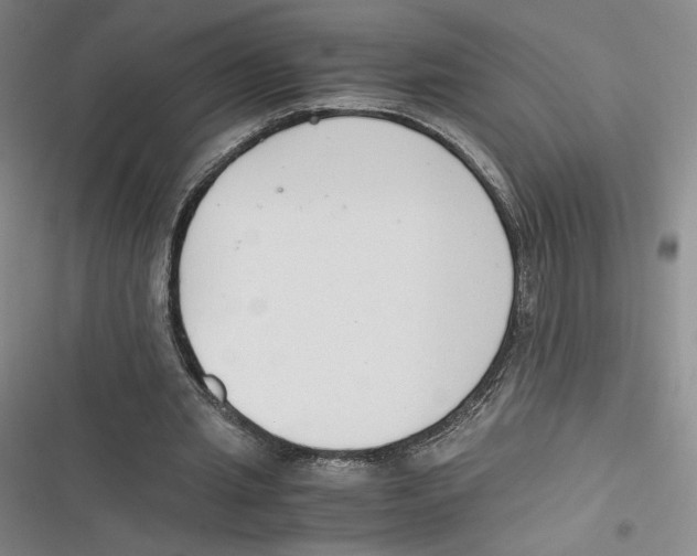 X0000116660437201001111253