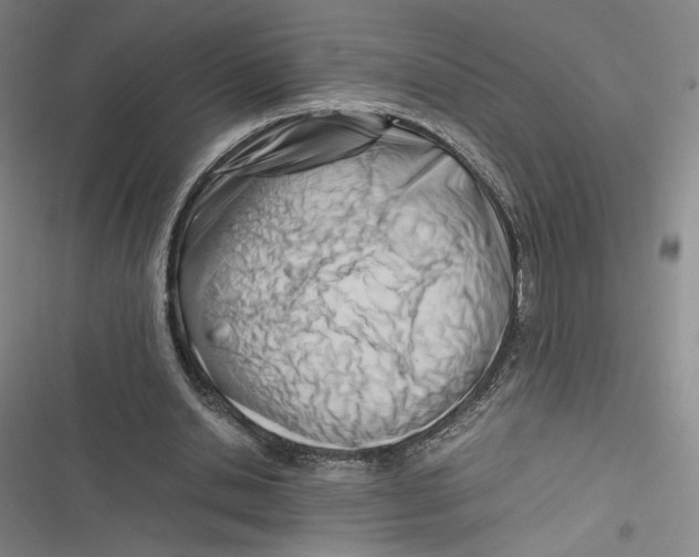 X0000116660438201001111253