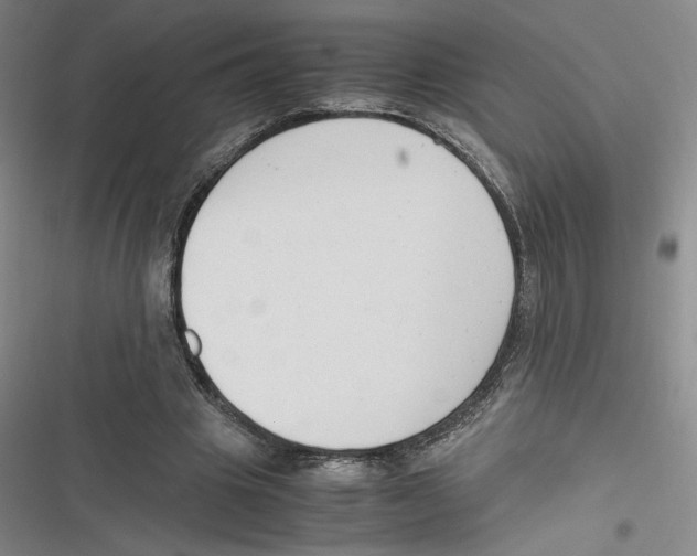 X0000116660441201001111253
