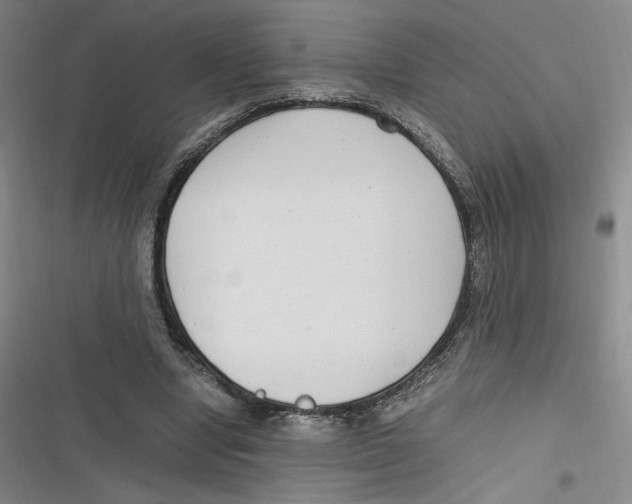 X0000116660442201001111253