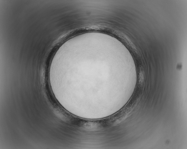 X0000116660444201001111253