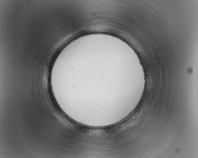 X0000116660446201001111253
