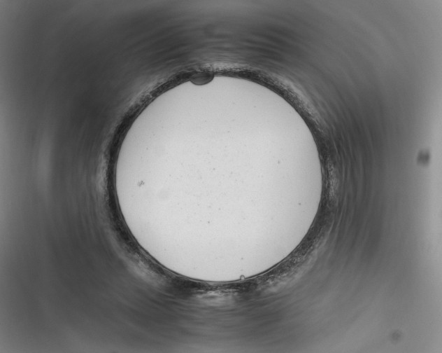 X0000116660447201001111253