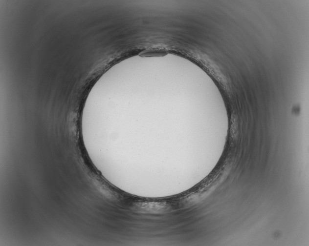 X0000116660449201001111253