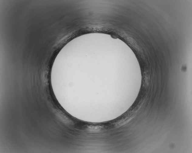 X0000116660450201001111253