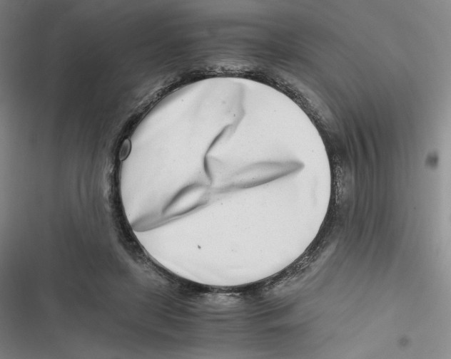 X0000116660451201001111253