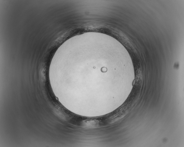 X0000116660452201001111253