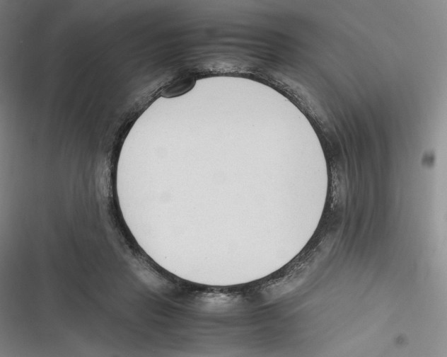 X0000116660453201001111253