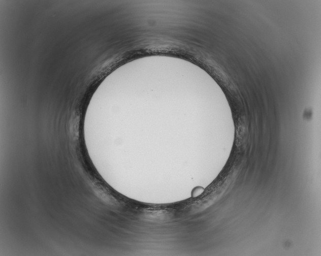 X0000116660454201001111253