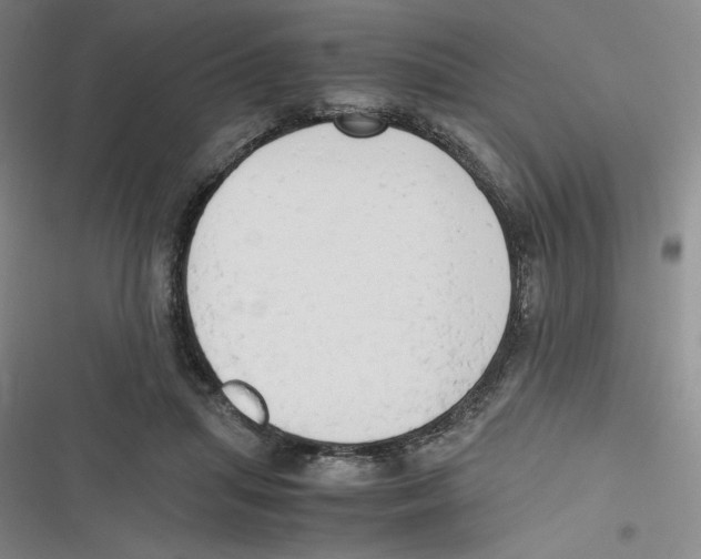 X0000116660455201001111253
