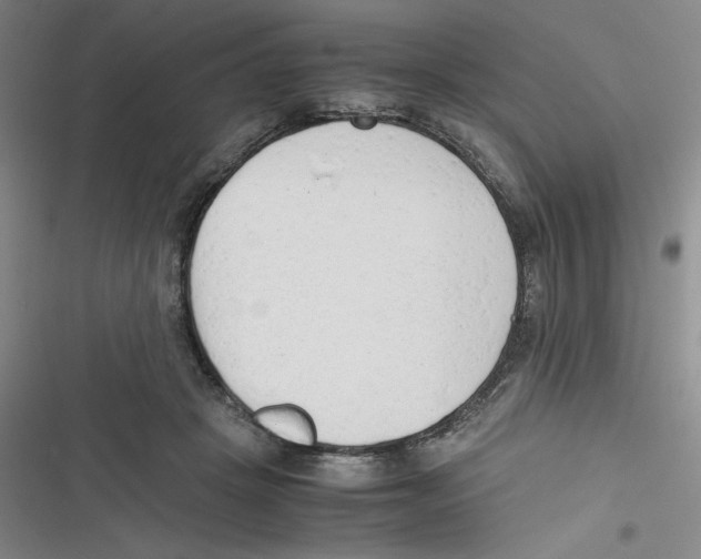 X0000116660457201001111253